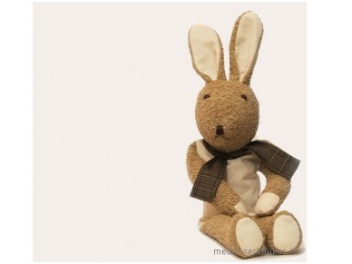 The wellness toy bunny