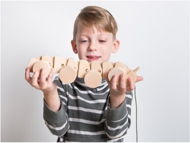 Pulled wooden worm Pulled wooden worm
